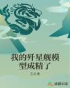 书名