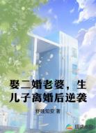 娶二婚老婆,生儿子离婚后逆袭