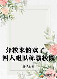 分校来的双子，四人组队称霸校园