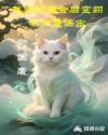 我家的猫会后空翻，条件是保密