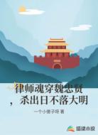 律师魂穿魏忠贤,杀出日不落大明