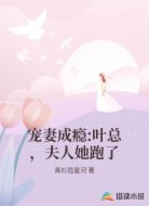 宠妻成瘾:叶总，夫人她跑了