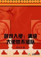 游戏入侵：满级大佬她不组队