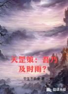 天罡策:吾乃及时雨?