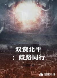 双谍北平：歧路同行