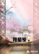 揽星笺