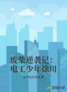 废柴逆袭记：电工少年徐川