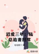 迟爱三年：陆总追妻日常