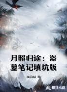 月照归途：盗墓笔记填坑版
