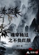 魂穿杨过之不负红颜