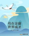 书名