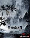 雪夜缉凶录