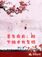 重生废后:陛下跪求我复婚
