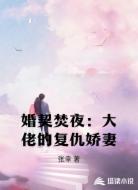 婚契焚夜：大佬的复仇娇妻