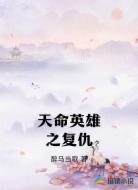 天命英雄之复仇