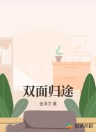 双面归途