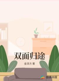 双面归途