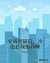 书名