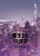 重生2018逆袭