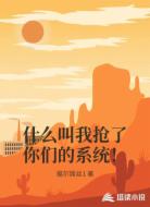 什么叫我抢了你们的系统!