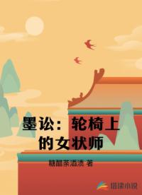 墨讼：轮椅上的女状师