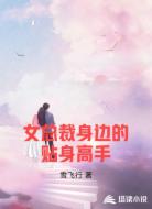 女总裁身边的贴身高手