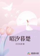 昭汐暮楚