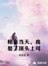 相亲当天，我娶了顶头上司