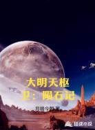 大明天枢卫：陨石记