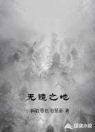 无镜之地