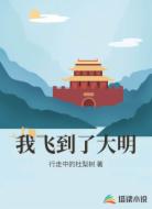 我飞到了大明