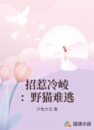 招惹冷崚:野猫难逃