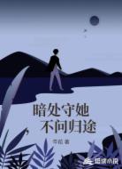 暗处守她,不问归途