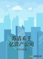 苏清禾千亿资产公司