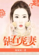 钻石宠妻
